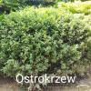 IMG 20210809 1425492