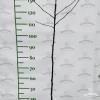 IMG 20221113 104741