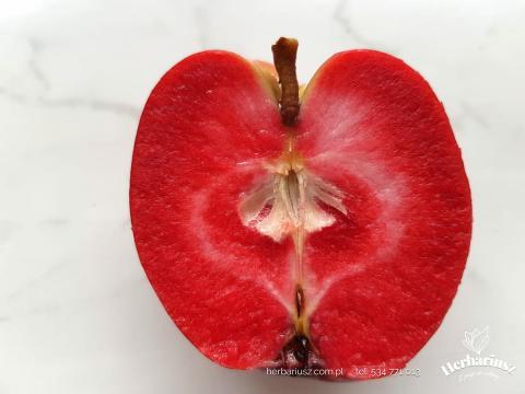 Jabłoń Red - Czerwony miąższ 